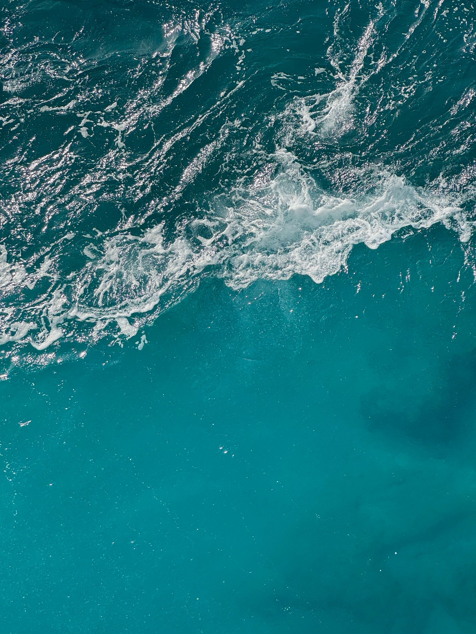 As geopolitics drives mining, how is ocean life affected?